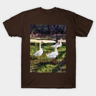 Geese - Three White Geese T-Shirt